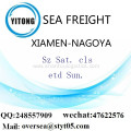 Xiamen Port LCL Consolidation To Nagoya